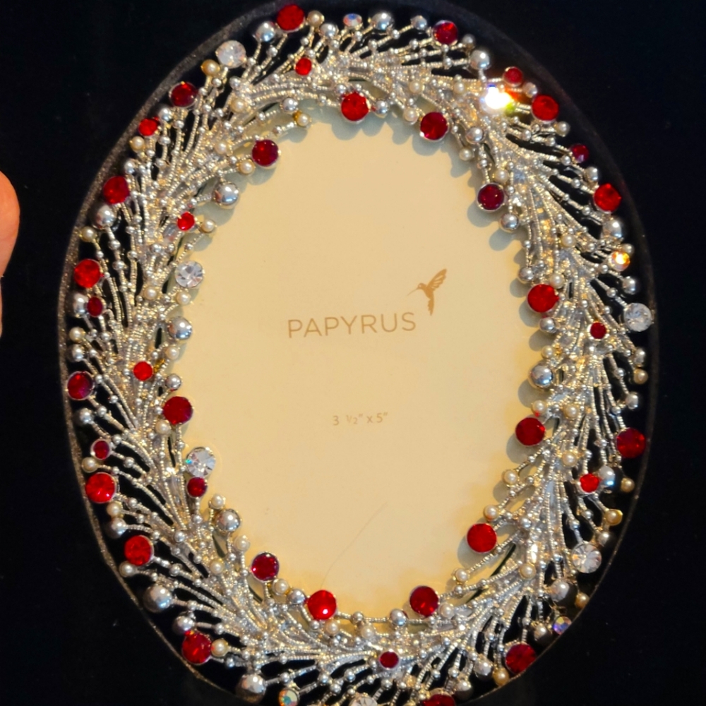 Papyrus Silver and Red Decorative Frame